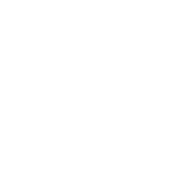 linkedin icon